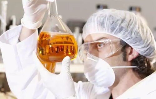 關于冬至最應該吃什么 終于有了答案....